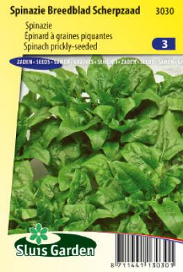 Spinazie Breedblad (Spinacia oleracea) 3500 zaden SL